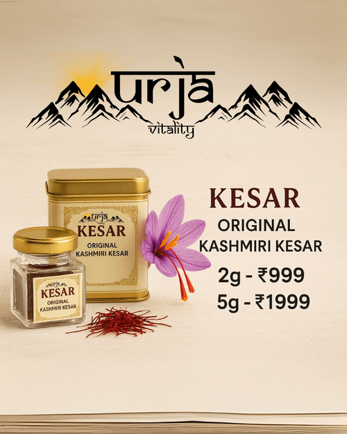 Premium saffron threads from Kashmir displayed in natural light