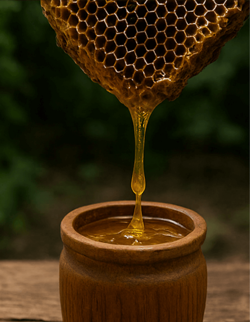 Urja Wild Raw Honey – 100% natural forest honey rich in antioxidants