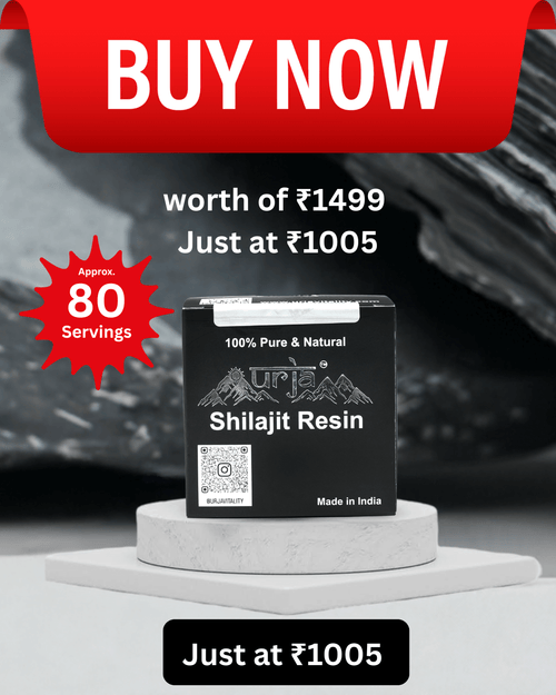 Urja Surya-Tapi Shilajit Resin 